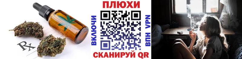 сколько стоит  Пошехонье  Cannafood конопля 