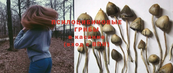 MDMA Армянск