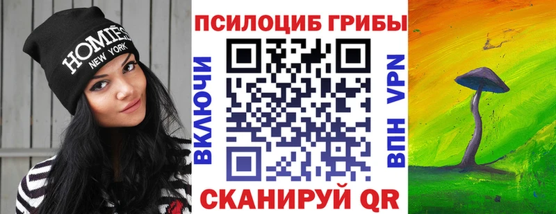 Псилоцибиновые грибы Magic Shrooms  Пошехонье 