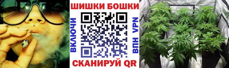 блэк спрут ссылки  цены наркотик  Пошехонье  МАРИХУАНА семена 